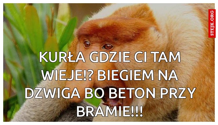 KURŁA GDZIE CI TAM WIEJE!? BIEGIEM NA DZWIGA BO BETON PRZY BRAMIE!!!