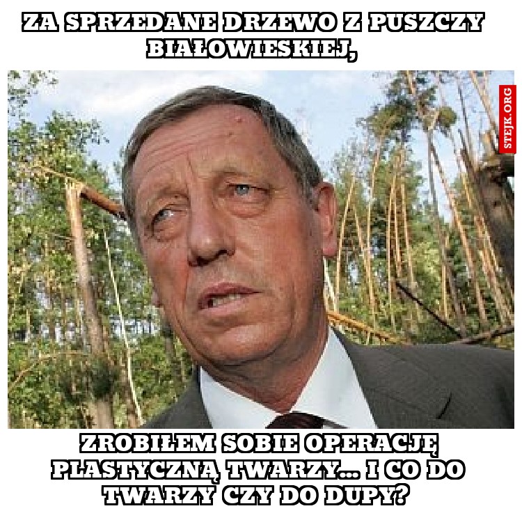 Za sprzedane drzewo z puszczy białowieskiej, 