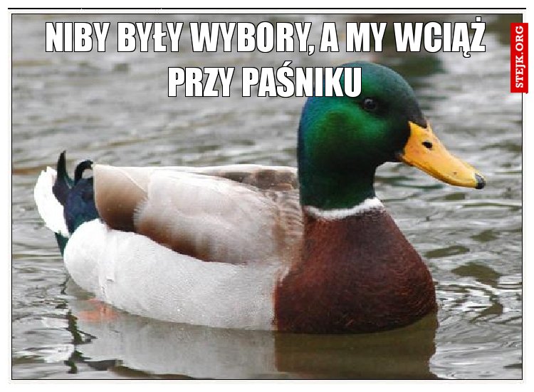 Niby były wybory, a my wciąż przy paśniku