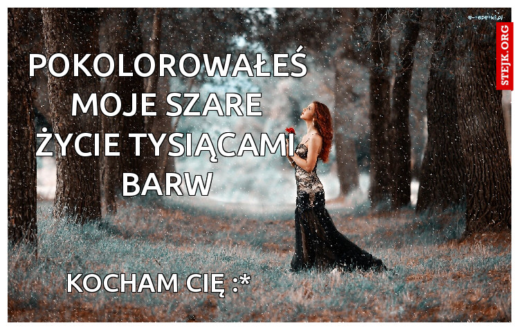 Pokolorowałeś moje szare życie tysiącami barw