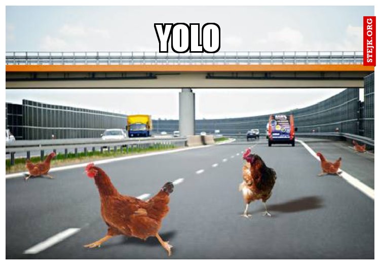 YOLO