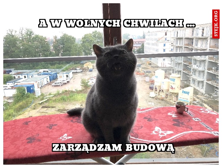 A w wolnych chwilach ...