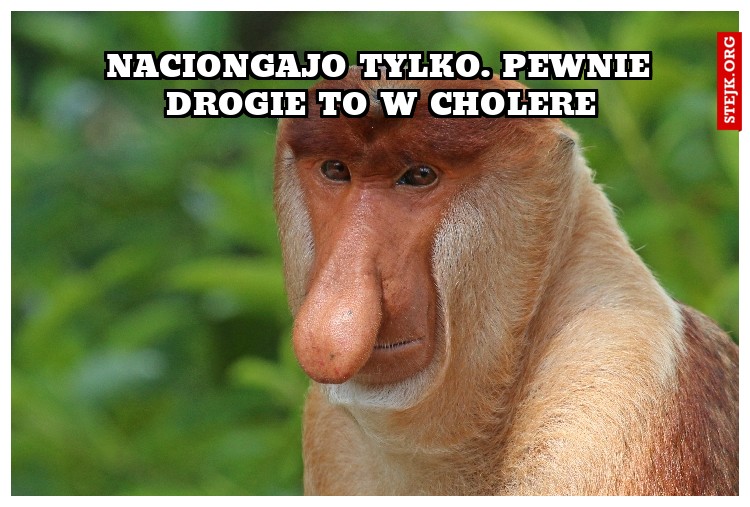 Naciongajo tylko. pewnie drogie to w cholere