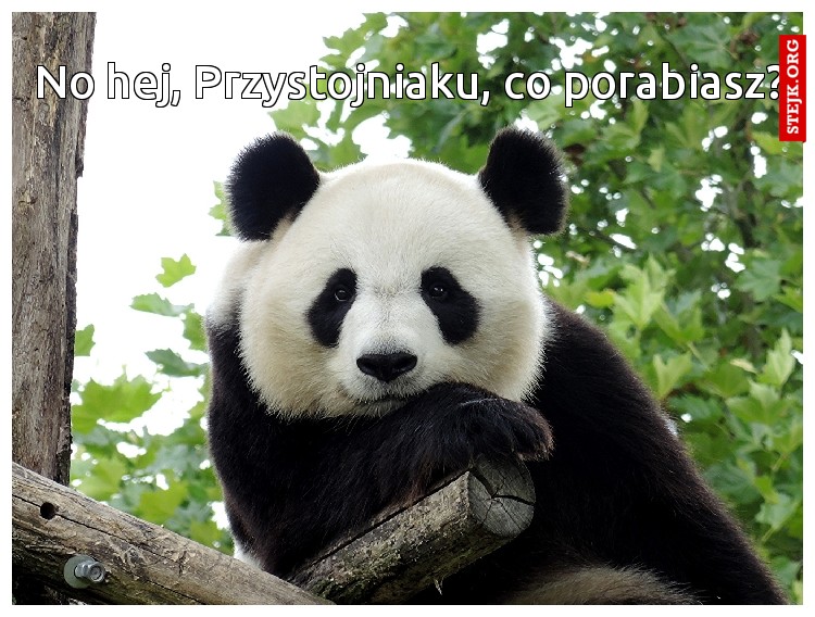 No hej, Przystojniaku, co porabiasz?