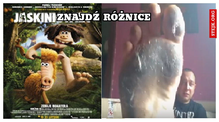 znajdź różnice