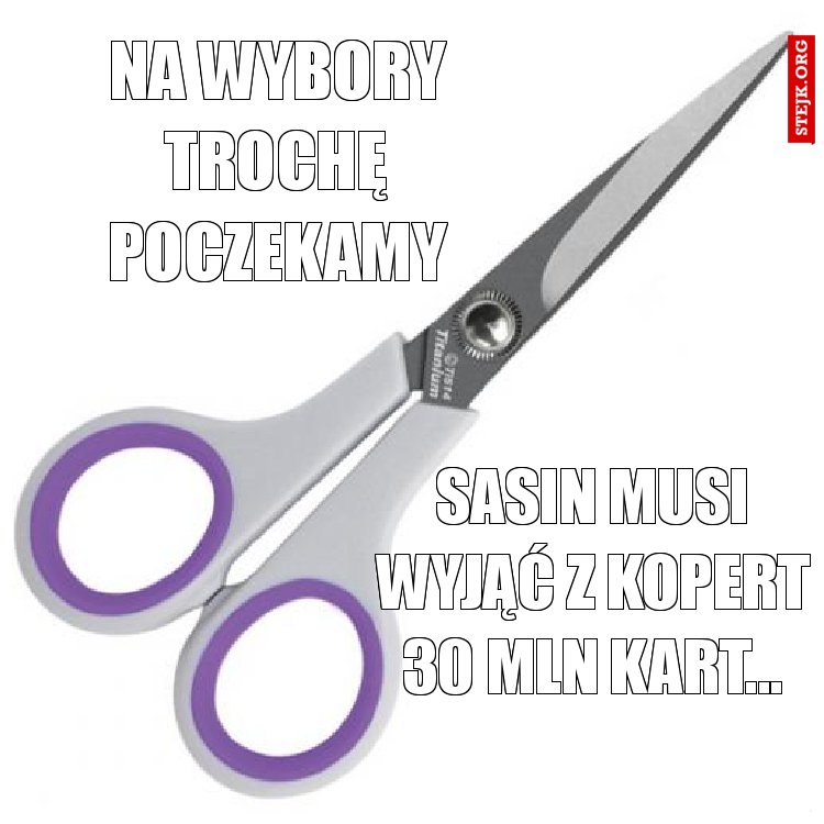 Na wybory trochę poczekamy