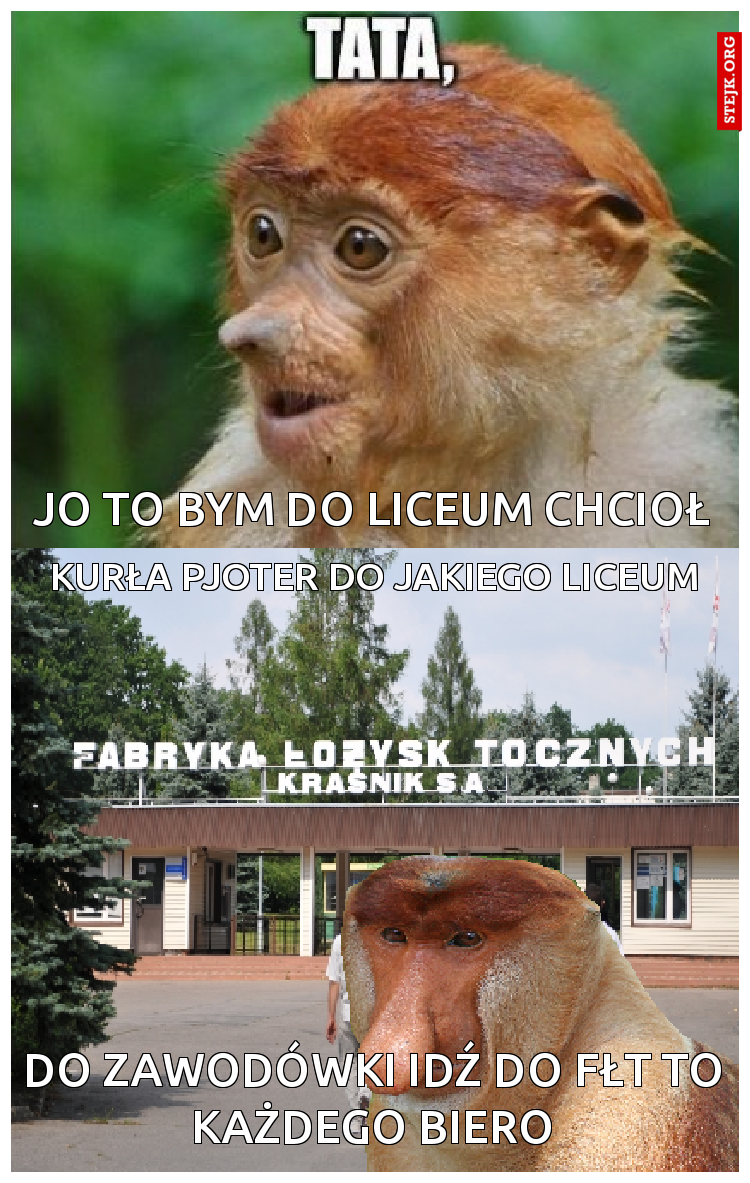 JO To Bym do liceum chcioł