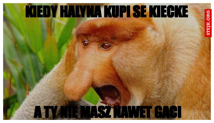 kiedy Halyna kupi se kiecke