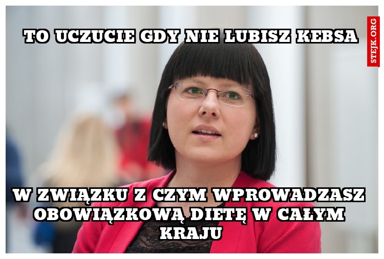To uczucie gdy nie lubisz kebsa