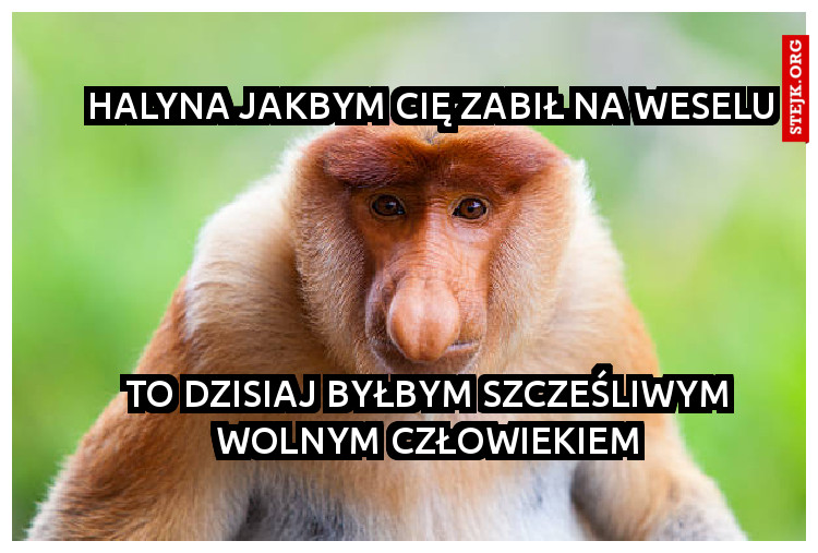 Halyna jakbym cię zabił na weselu