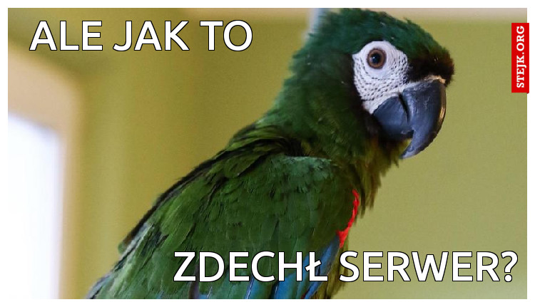 ALE JAK TO