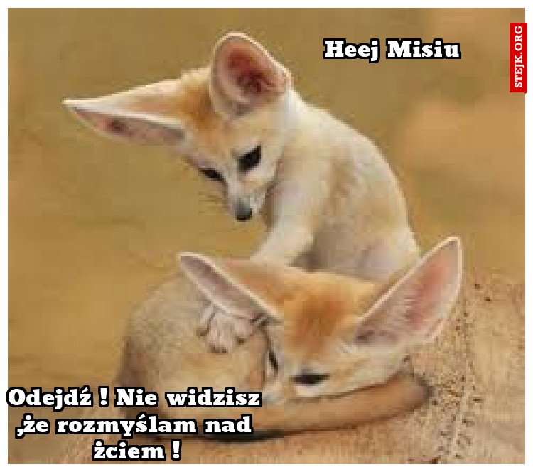 Heej Misiu 
