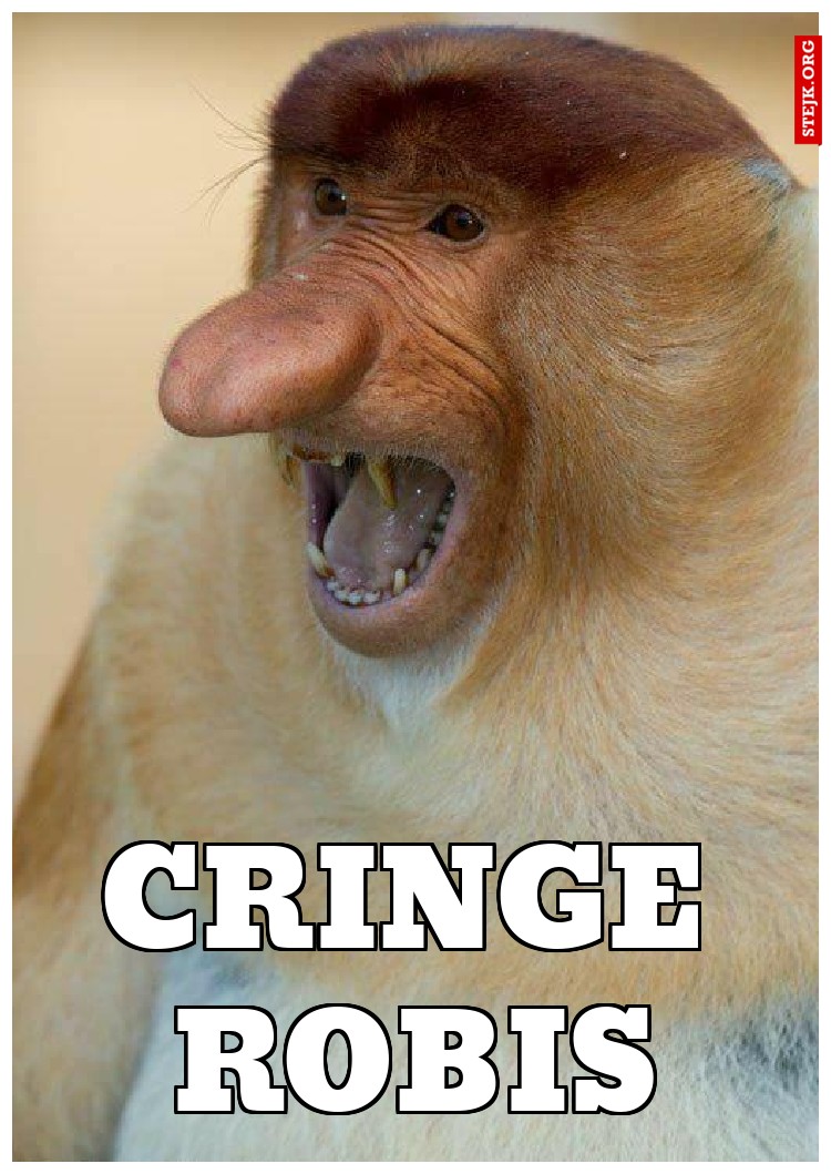 Cringe Robis