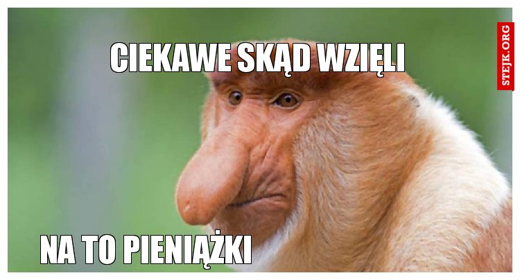 Ciekawe skąd wzięli