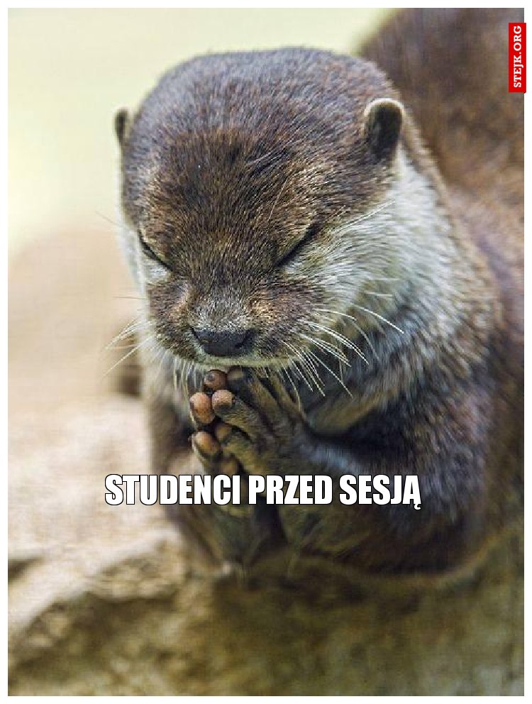Studenci przed sesją