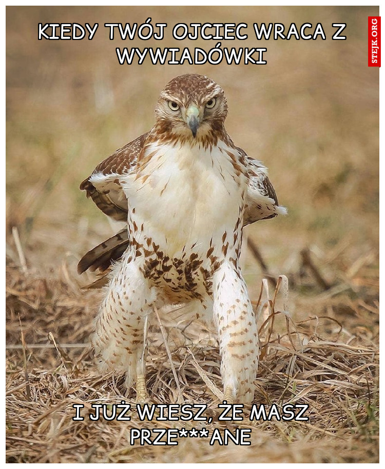 KIEDY TWÓJ OJCIEC WRACA Z WYWIADÓWKI