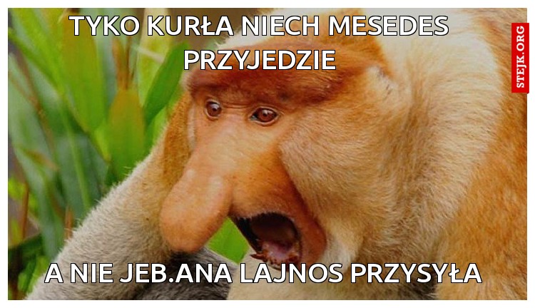 tyko kurła niech mesedes przyjedzie
