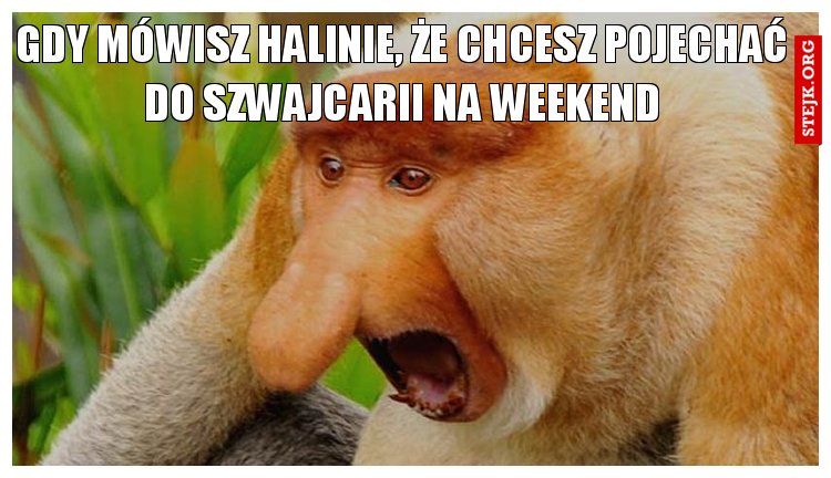 Gdy mówisz Halinie, że chcesz pojechać do Szwajcarii na weekend