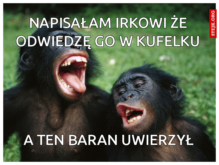 Powiedziałam Irkowi że odwiedzę go w kufelku