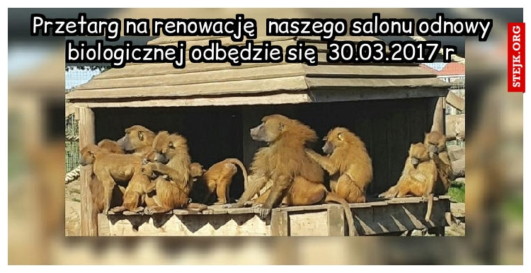 Przetarg na renowację  naszego salonu odnowy biologicznej odbędzie się  30.03.2017 r