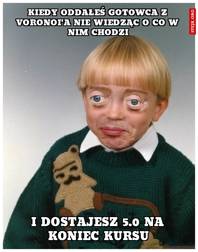 KiedY oddałeś gotowca z voronoi'a nie wiedząc o co w nim chodzi