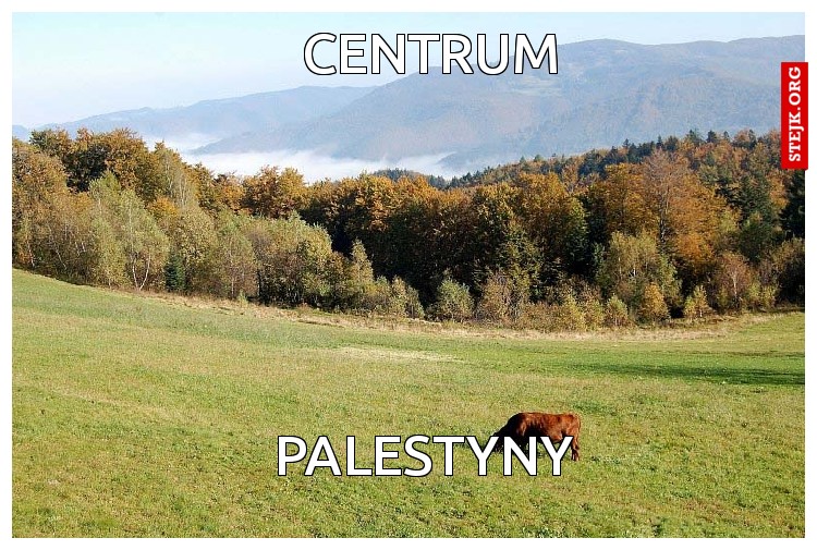Centrum
