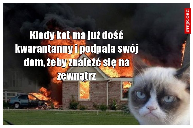 Kiedy kot ma już dość kwarantanny i podpala swój dom, żeby znaleźć się na zewnątrz