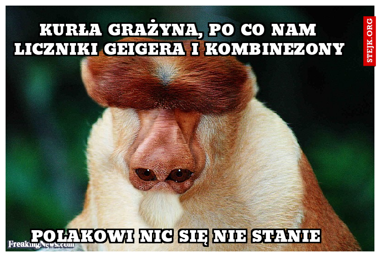 Kurła grażyna, po co nam liczniki geigera i kombinezony