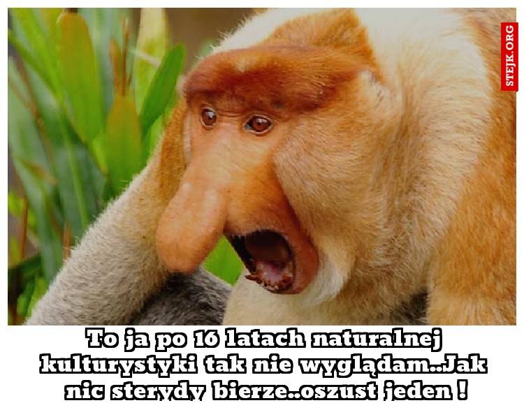 To ja po 16 latach naturalnej kulturystyki tak nie wyglądam..Jak nic sterydy bierze..oszust jeden !