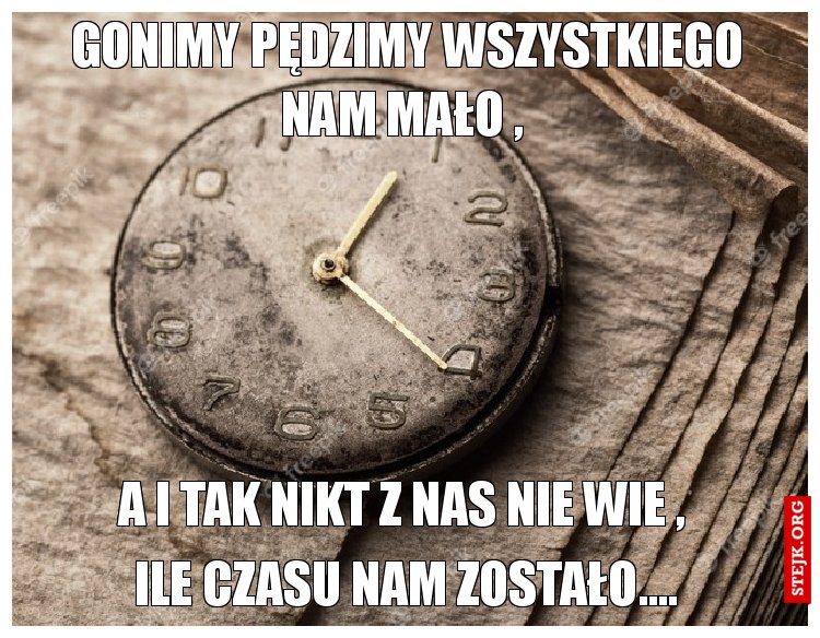 Gonimy pędzimy wszystkiego nam mało , 