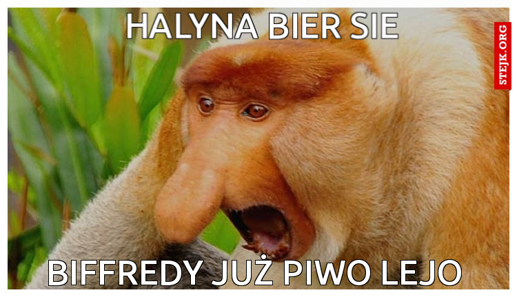 HALYNA BIER SIE