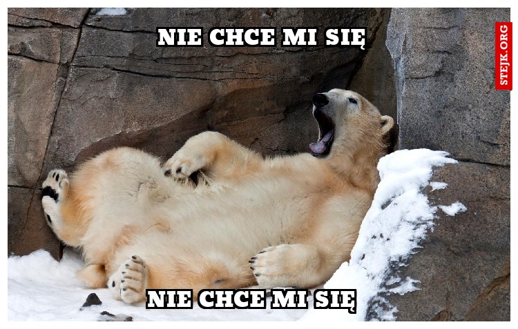 nie chce mi się