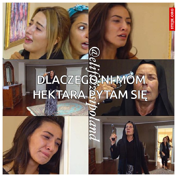 Dlaczego ni mom hektara pytam się 