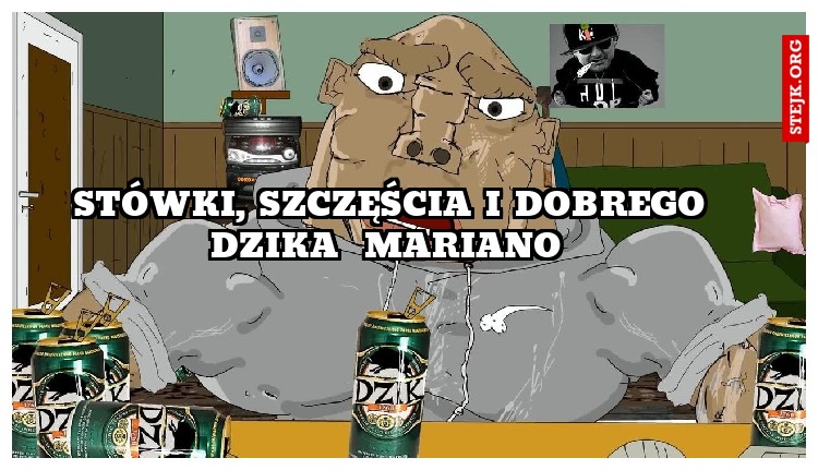 STÓÓWKA , SZCZĘŚCIA I DOBREGO DZIKA