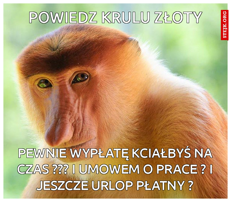 powiedz krulu złoty 