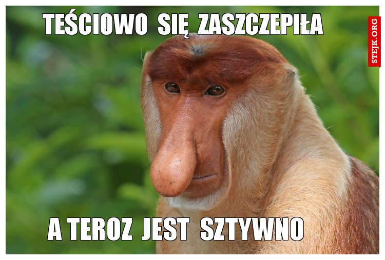 teściowo  się  zaszczepiła