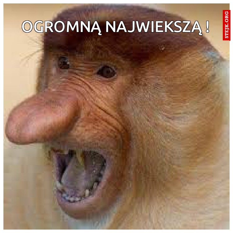 Ma coś ? xDcccccccccccccccccccccccccccc