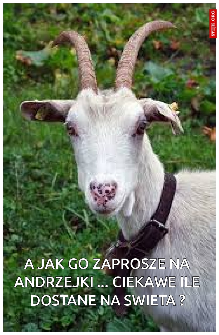 A jak go zaprosze na andrzejki ... ciekawe ile dostane na swieta ?