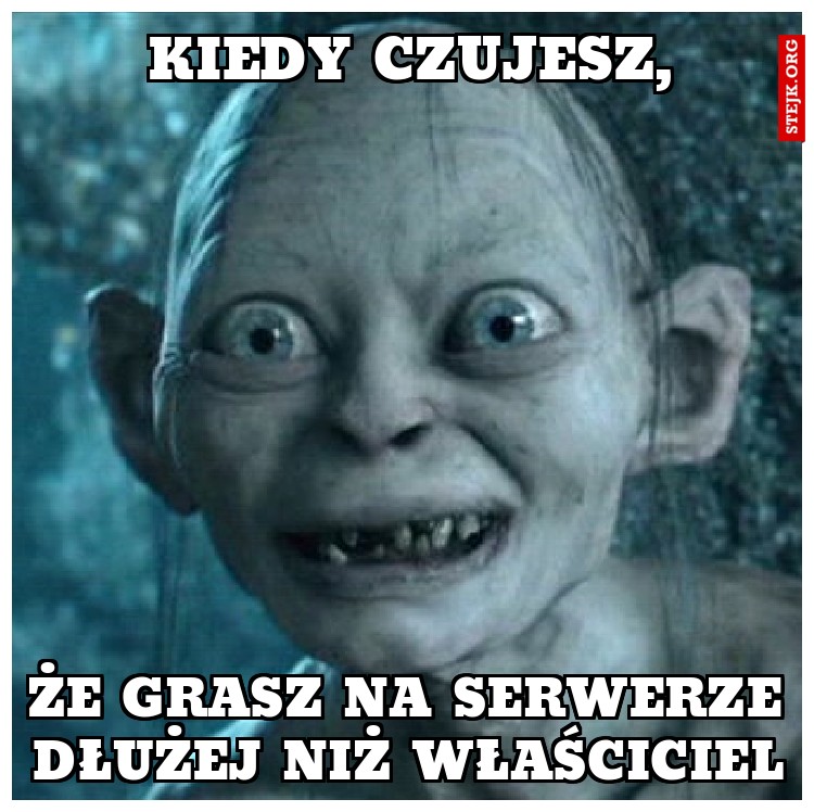 Kiedy grasz na serwerze dłużej niż właściciel