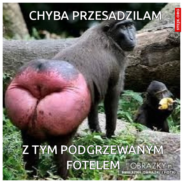 CHYBA PRZESADZILAM