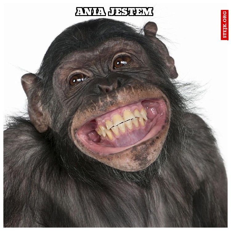 ania jestem