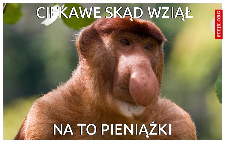 ciekawe skąd wziął 