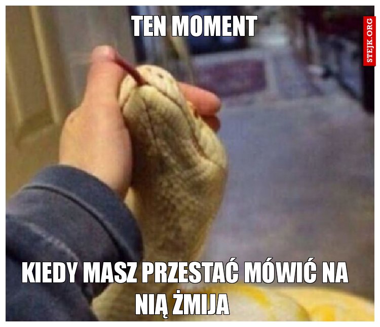 Ten moment 