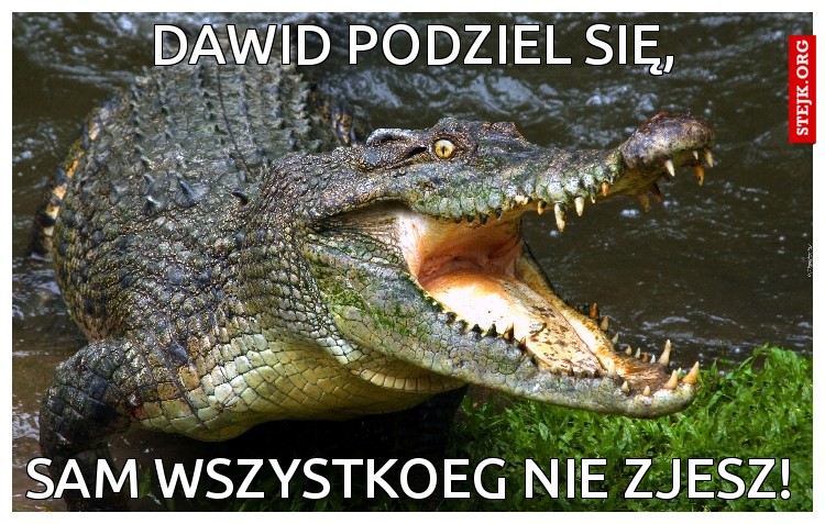 Dawid podziel się,