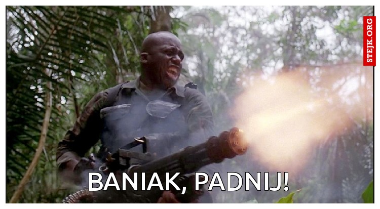 BANIAK, PADNIJ!