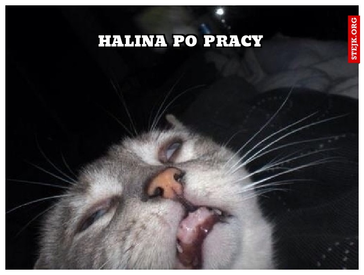 HALINA PO PRACY