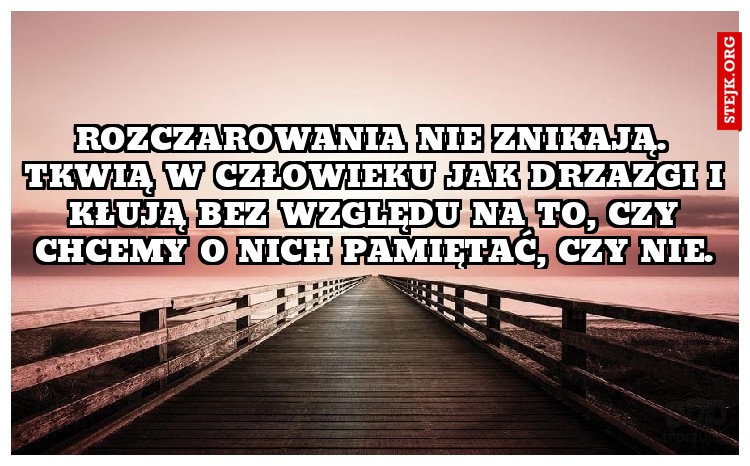 Rozczarowania nie znikają. Tkwią w człowieku jak drzazgi i kłują bez względu na to, czy chcemy o nich pamiętać, czy nie.