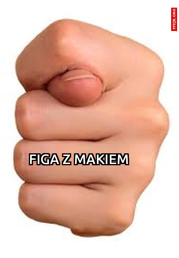 FIGA Z MAKIEM