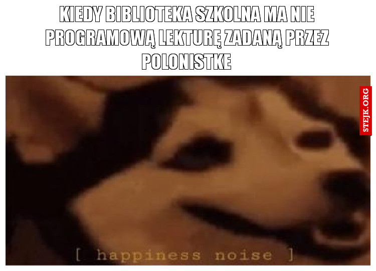 kiedy biblioteka szkolna ma nie programową lekturę zadaną przez polonistke