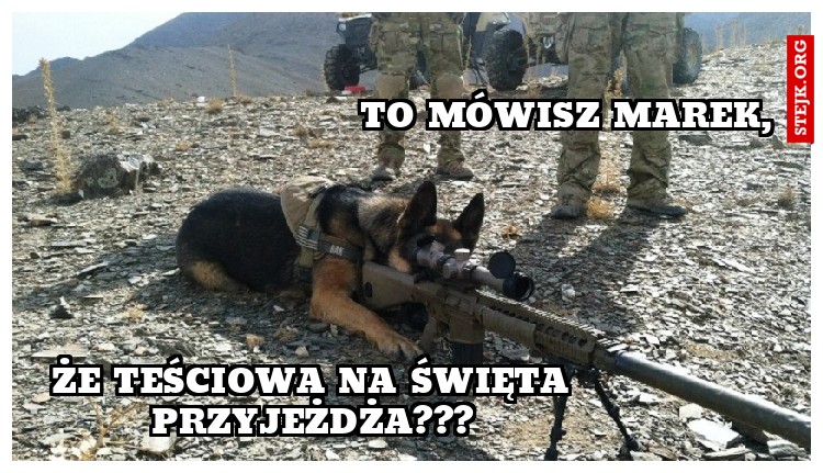 TO MÓWISZ MAREK,